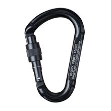 BEAL Be Lock Screw Carabiner