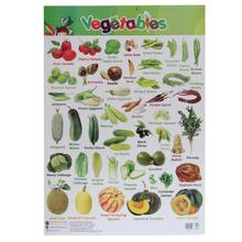 Vegetables Educational Wall Chart Poster