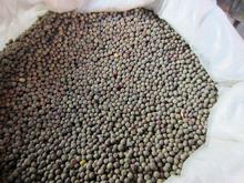 Small Peas 1KG (Sano Kerau)