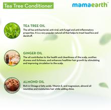 Mamaearth Tea Tree Conditioner with Tea Tree & Ginger Oil for Dandruff Free Hair 250ml