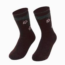 Happy Feet Pack Of 6 Pairs Pure Wool Socks-2027