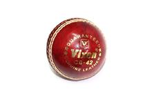 Cricket Ball 4 Cups Vixen Club