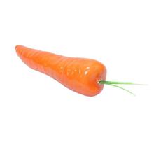 Orange Carrot Model Foam Toy