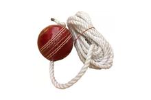 Cricket Knocking Ball With Attached Ropes