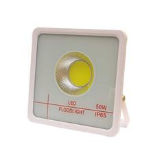 LED 50 Watt Flood Light