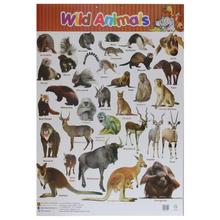 Wild Animal Educational Wall Chart Poster