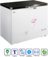 CG 210 Ltr Chest Freezer CG-DF2103HS