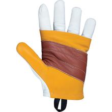 Beal Rappel Gloves