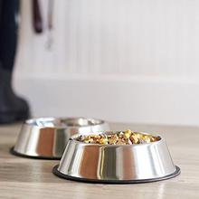 Pets Empire Stainless Steel Dog Bowl Medium (Set of 2)