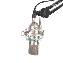 Alctron MC001 High Performance Fet Studio Condenser Microphone