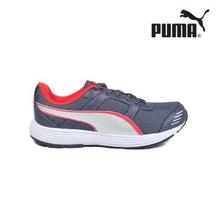 Puma Harbour DP Cross Trainers  - 18931302