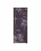 310L Ltrs Scarlet Florid/Graphite Orchid LG Double Door Refrigerator GL-B322RPCL