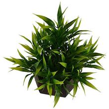 Fancy Mart Artificial Bamboo Leaves Plant (Size 7.5 Inchs/ 20 Cms)