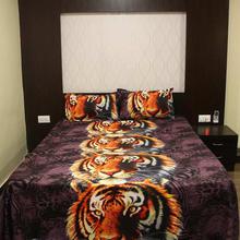100% Swiss Cotton Double Bedsheet with Pillow Covers
