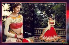 Elegant Red Georgette and Net Bollywood Sarees