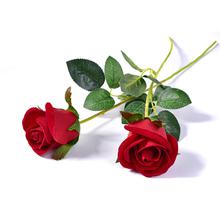 Two Roses For Valentine(Natural rose)