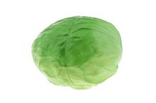 Green Artificial Cabbage