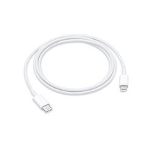 Apple Lightning to USB Cable (1 m)