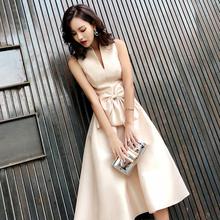 Chic Elegant Champagne Color Silk Bottle Neck Flare Sleeveless Short Party Dress Free Size