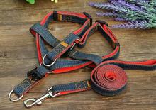 Jeans Dog Belt with Leash (DB-6)