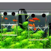 Mini Fish Breeding Isolation Box By Crown Aquatics