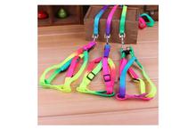 Colourful Rainbow Dog & Puppy Harness Leash Soft Traction Nylon Rope - Medium