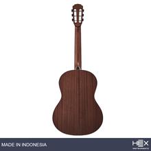 Hex Pollen C100 M Classical Guitar with Standard Gig Bag