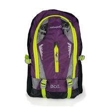 Outdoor/Trekking/Hiking Lightweight 30 L Backpack with Rain Cover (Purple)