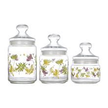 Luminarc Crazy Flowers Pot Club 3PC Set