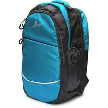 Backpack 20 L Laptop Backpack  (Blue)