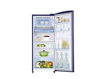 Samsung 192 Ltr Single Door Refrigerator RR20M2821U2