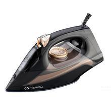 2200 W Steam Iron