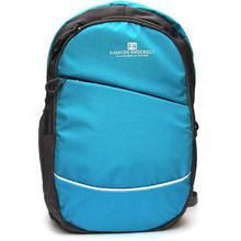 Backpack 20 L Laptop Backpack  (Blue)