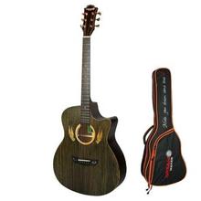 Dreammaker Pro 2 Model EQ Acoustic Guitar With Guitar Bag