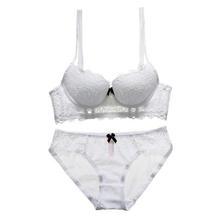 Fashion Sexy Bra Sets Embroidery Lingerie Underwear Women