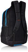 Fastrack 35.4 Ltrs Black School Backpack (A0705NBK01)