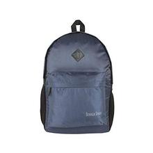 The Blue Pink Polyester 12 Ltr Grey Laptop Backpack