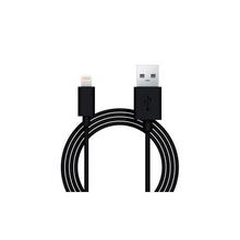 USB Cable (Charger and Sync)