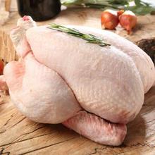 Nina & Hager WHOLE CHICKEN - Per KG