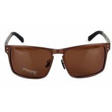 Square Shape Wayfarer Sunglasses