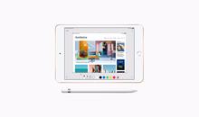 Apple 7.9" iPad mini (Early 2019, 256GB, Wi-Fi Only, Gold)