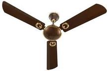 Polycab 48” Ambiance Pearl Woodland Decorative Ceiling Fan 





					Write a Review