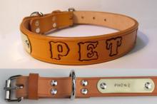 Collar W/Name Tag 22