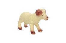 Sheep Rubber Toy (Cream)