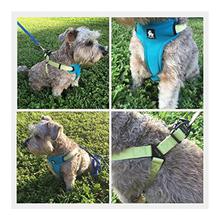 PetsUp Nylon Dog Harness for Large Medium Small Puppy Dogs