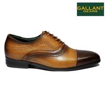 Gallant Gears Brown Formal Leather Lace Up Shoes For Men - (MJDP31-13)