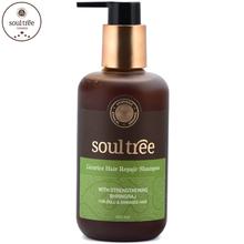 Soul Tree Licorice Hair Repair Shampoo - 250 Ml