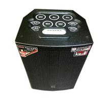 Drum Set Speaker Temeisheng QX15-37