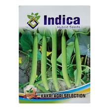 Indica Hybrid Seeds Of Kakri Agri Selection