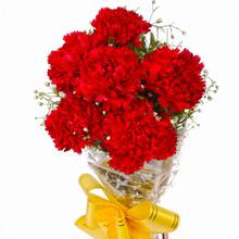 Red Carnations (बंगैचे फुल ) 6 PCs